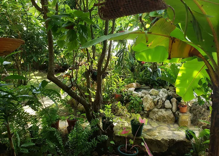 Zapote Tree Inn