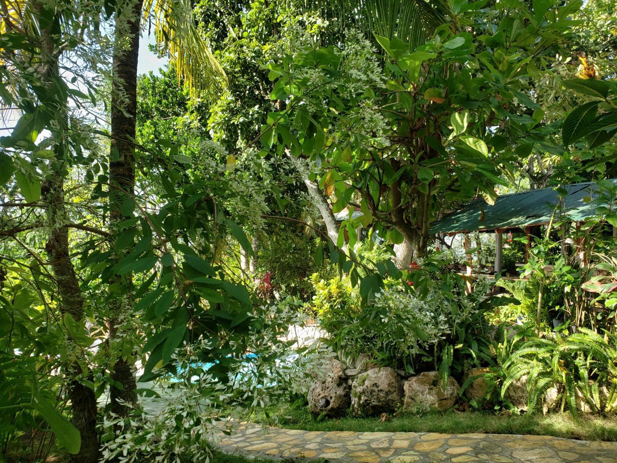 Zapote Tree Inn