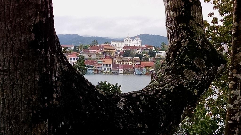 Inn Zapote Tree Flores