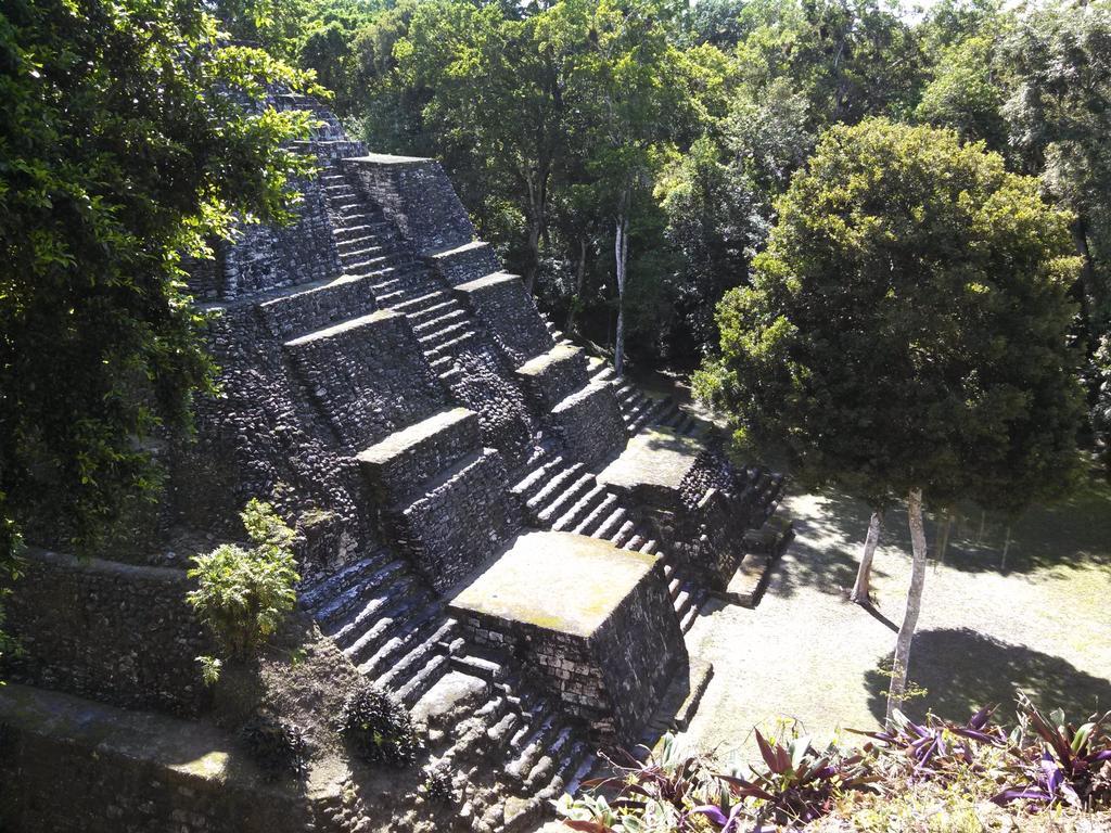 Inn Zapote Tree