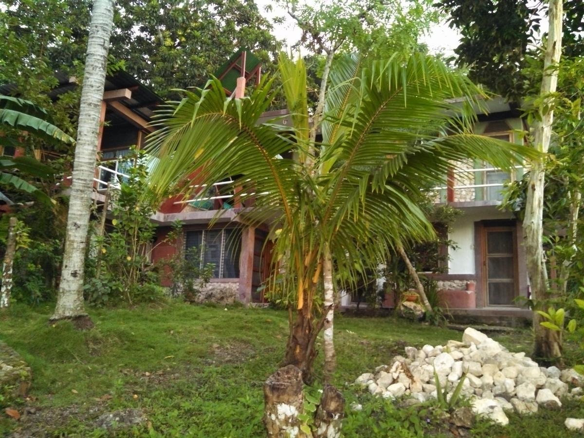 Inn Zapote Tree