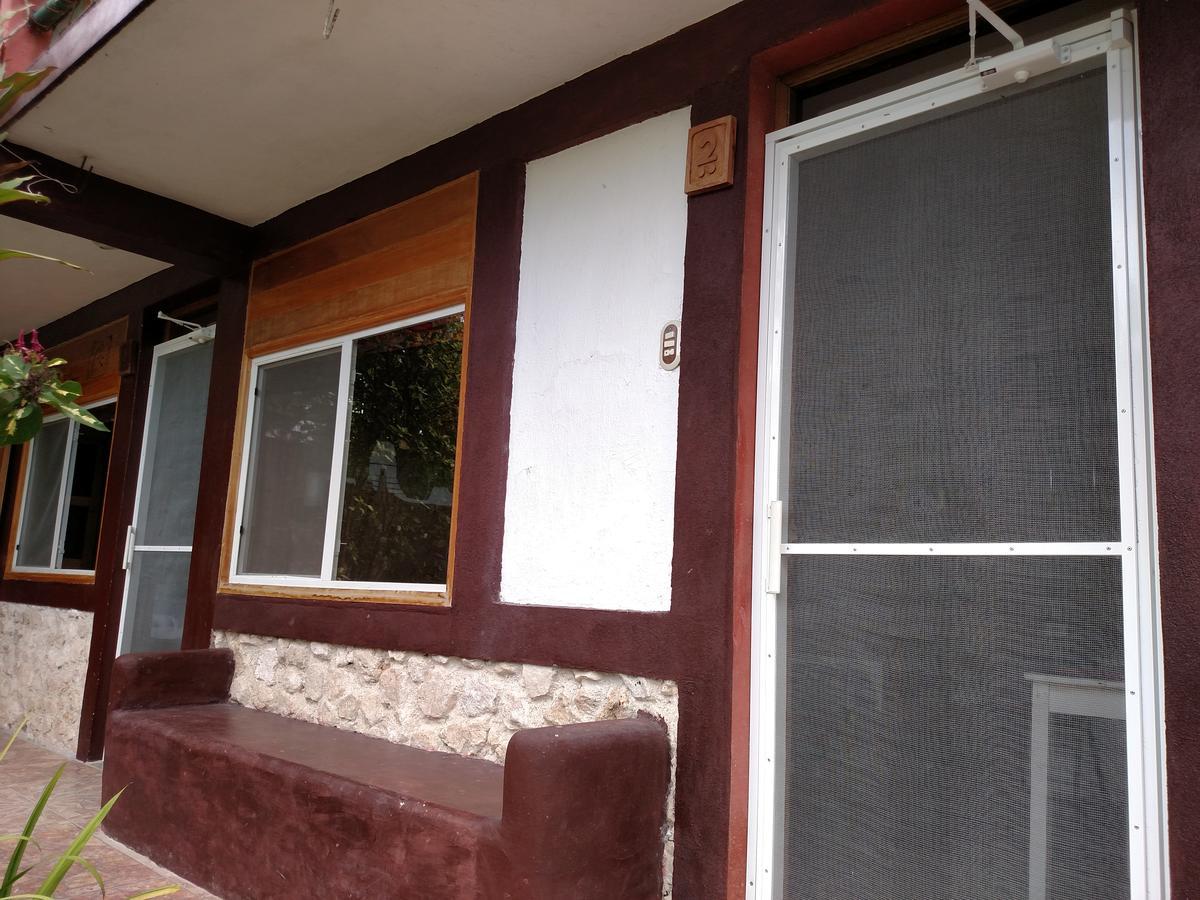 Inn Zapote Tree