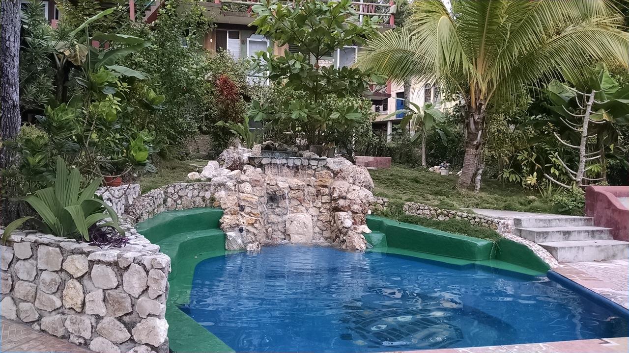 Zapote Tree Flores